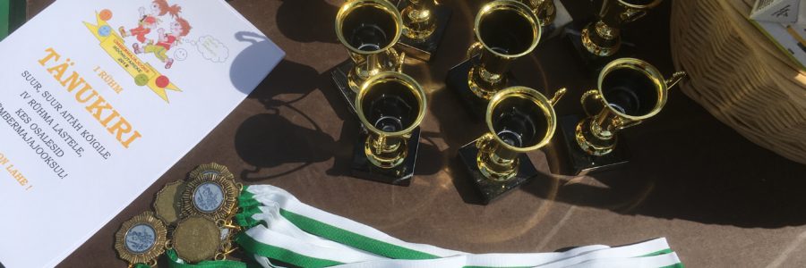23. ümbermajajooks Rõõmutarekese lastele