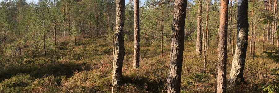 Rõõmutarekese oktoobrikuine väljasõit