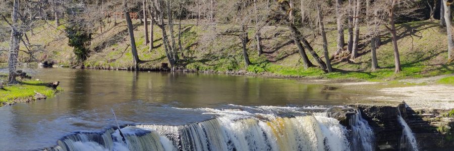 Rõõmutarekese lastetead käis traditsioonilisel kevade ühismatkal Keila-Joal