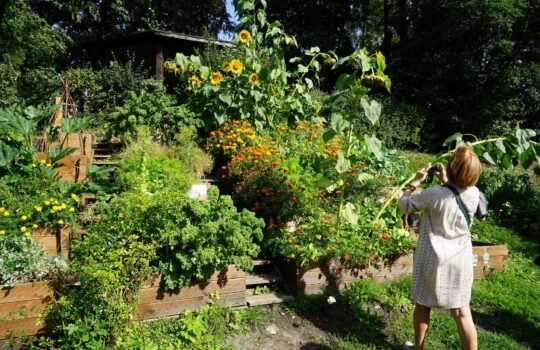 SchoolFood4Change projektihuviliste ringkäik meie lasteaias