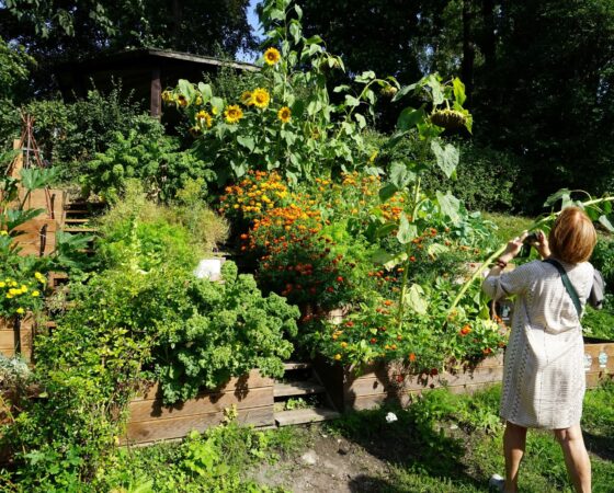 SchoolFood4Change projektihuviliste ringkäik meie lasteaias