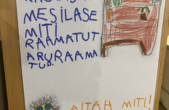Mesilase Miti raamatutaru – koostöö Tallinna Keskraamatukoguga
