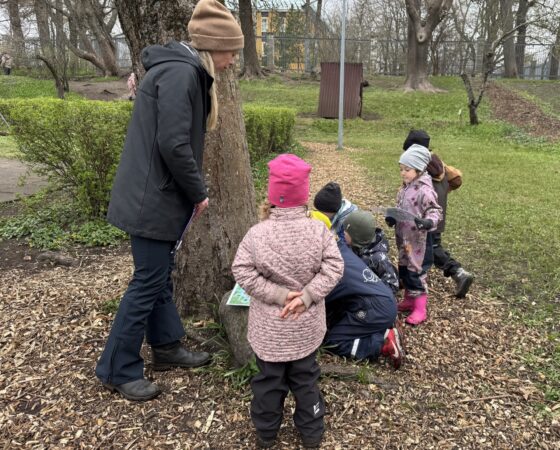 Sipsikute munadepüha aardejaht